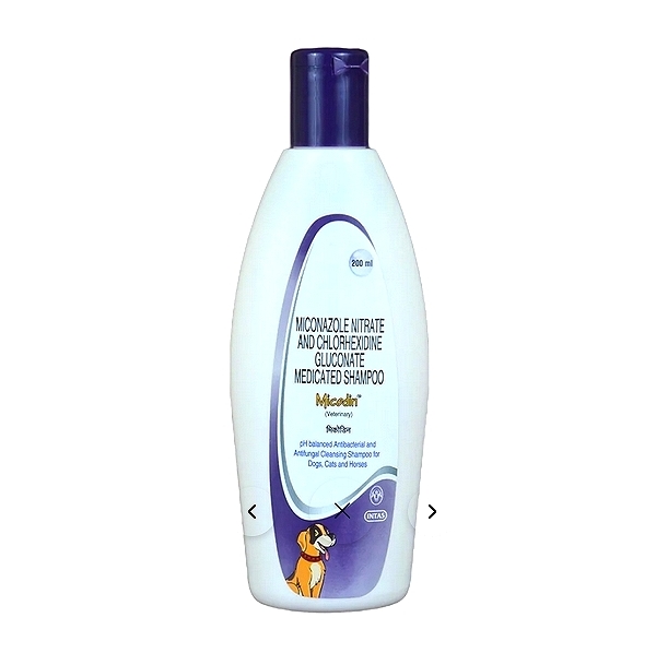 Intas Micodin Medicated Shampoo 200ml