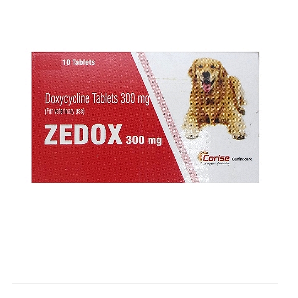Corise ZEDOX Tablets 300mg (10)