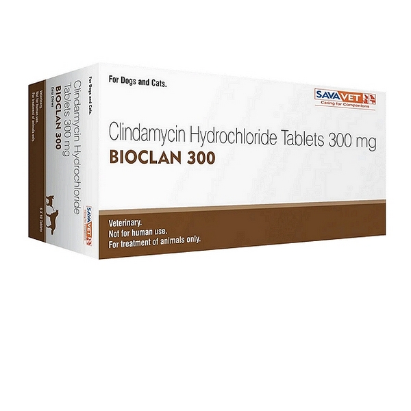 Bioclan 300 Tablets (60)