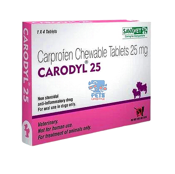 Carodyl 25mg Tablets (4)