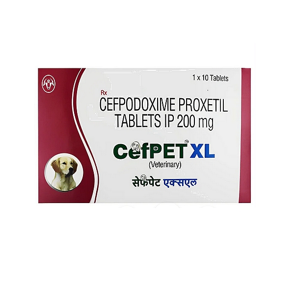 Intas CefPET XL 200mg Tablets (10)