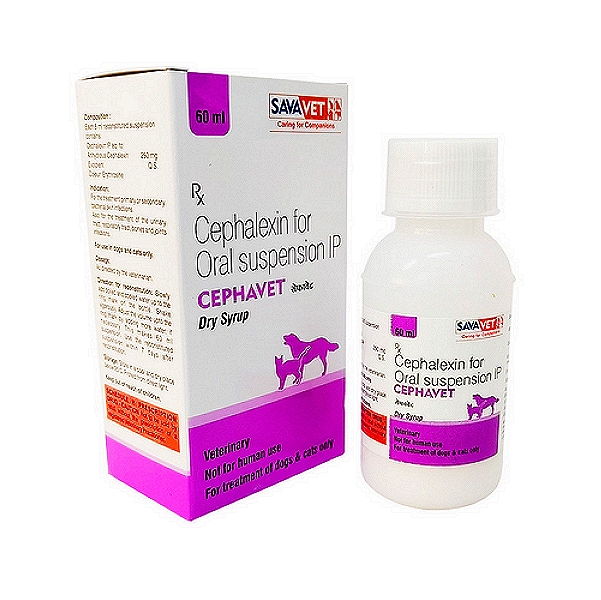 Cephavet Dry Syrup 60ml