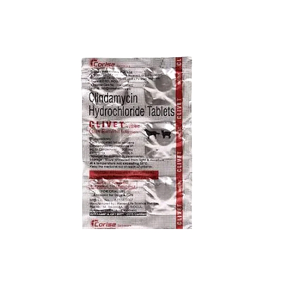 Corise CLIVET 300mg Tablets (6)