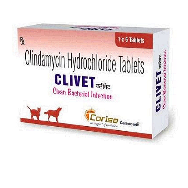 CLIVET 300mg Tablets (6)