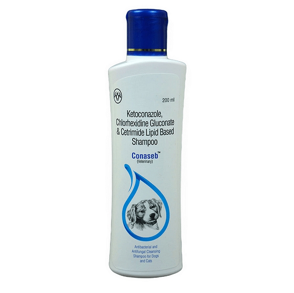 Intas Conaseb Shampoo 200ml