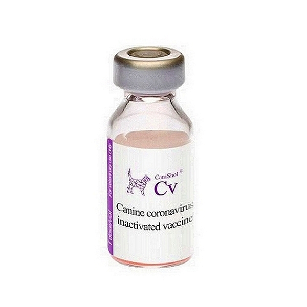 Intas CaniShot Cv Vaccine