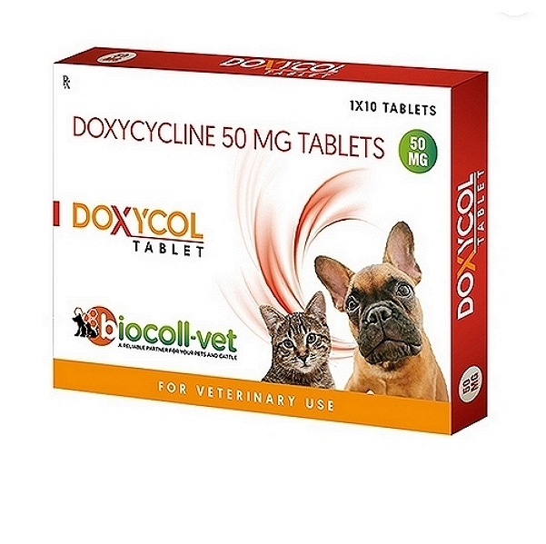 Doxycycline Tablets