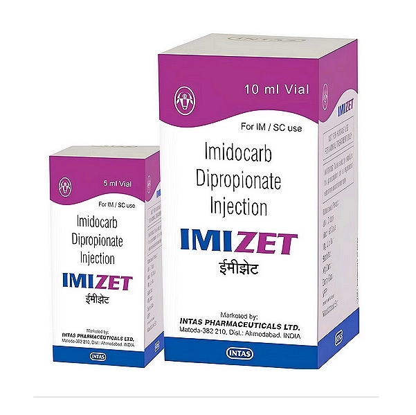 IMIZET Injection