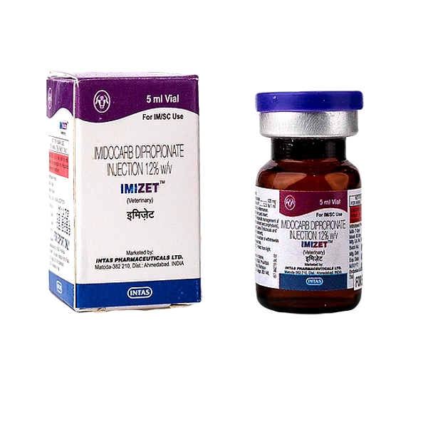 Intas IMIZET Injection 5ml