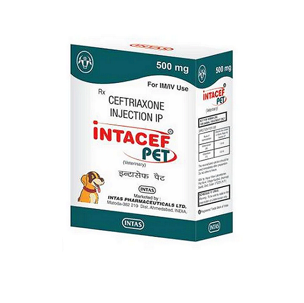 Intas INTACEF PET Injection 500mg