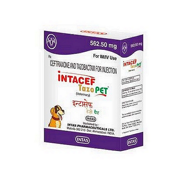 Intas INTACEF Tazo PET Injection 562.5mg