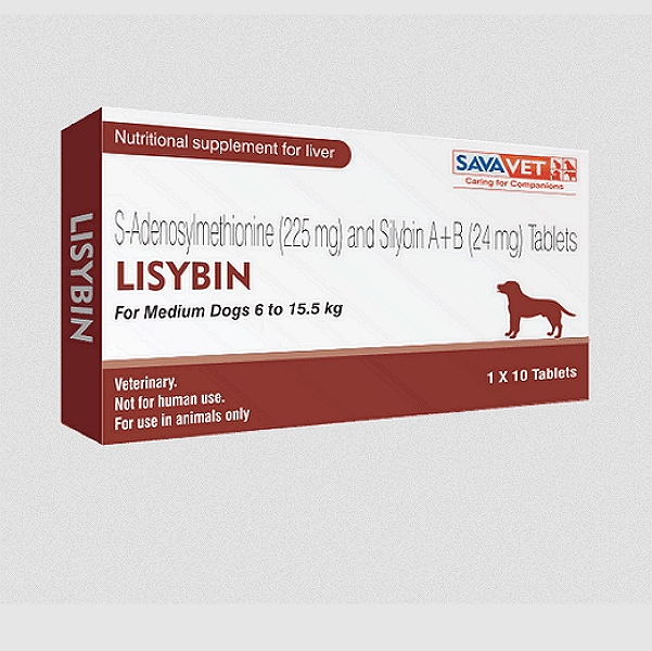 Lisybin 225mg Tablets