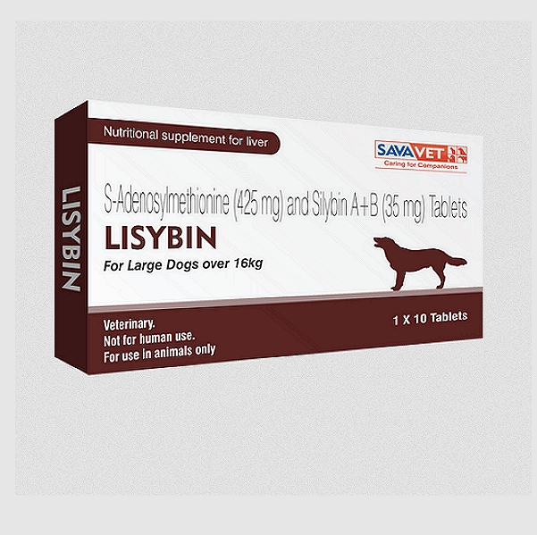 Lisybin 425mg Tablets