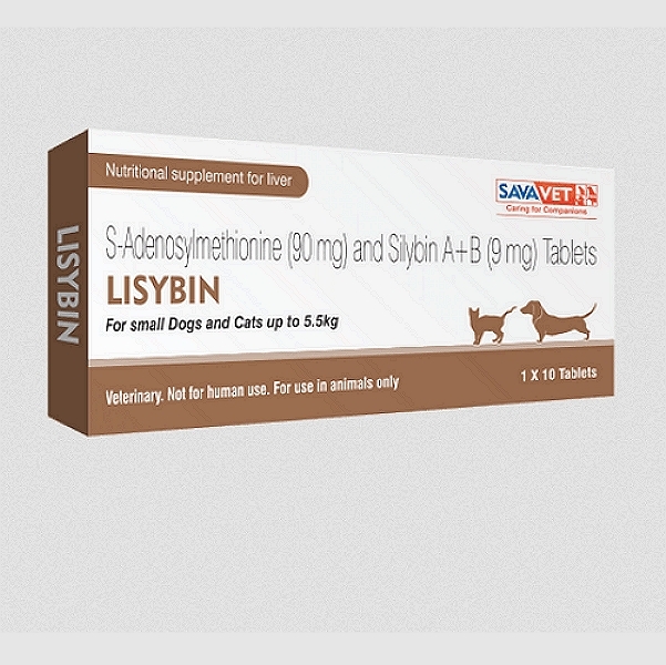 Lisybin 90mg Tablets