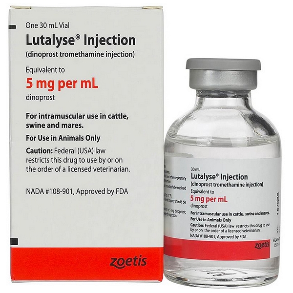 Boehringer Lutalyse Injection