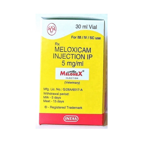 Intas MeloneX Injection 30ml