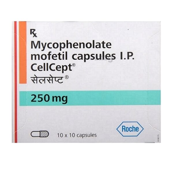 Mycophenolate Mofetil Capsules
