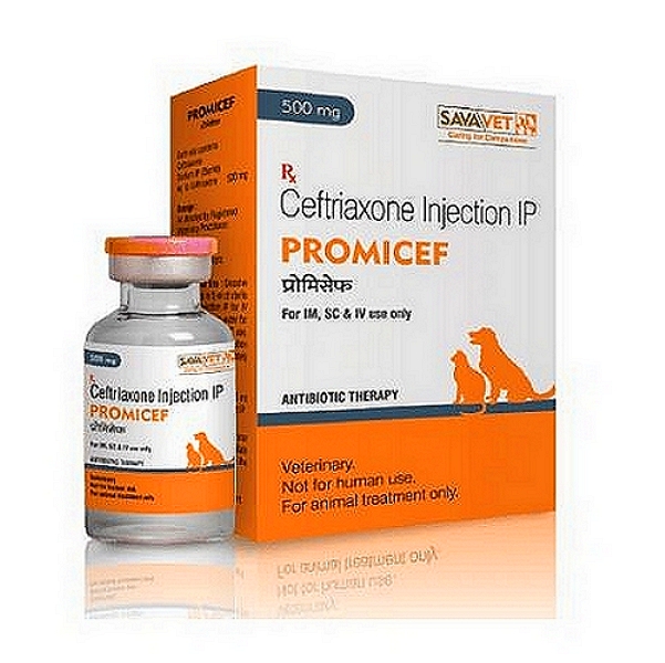Promicef 500mg Injection