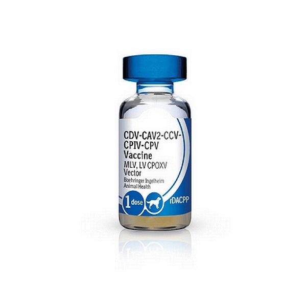 Boehringer Recombitek C4 Vaccine
