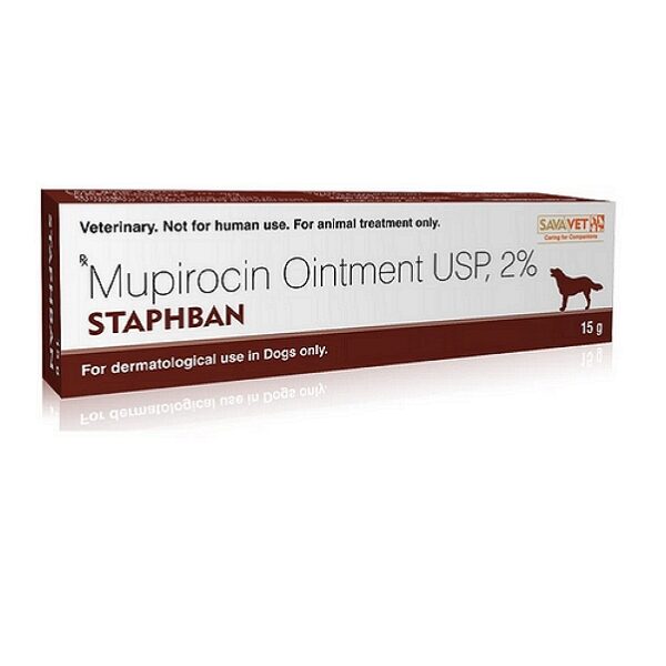 Staphban Ointment 15gm