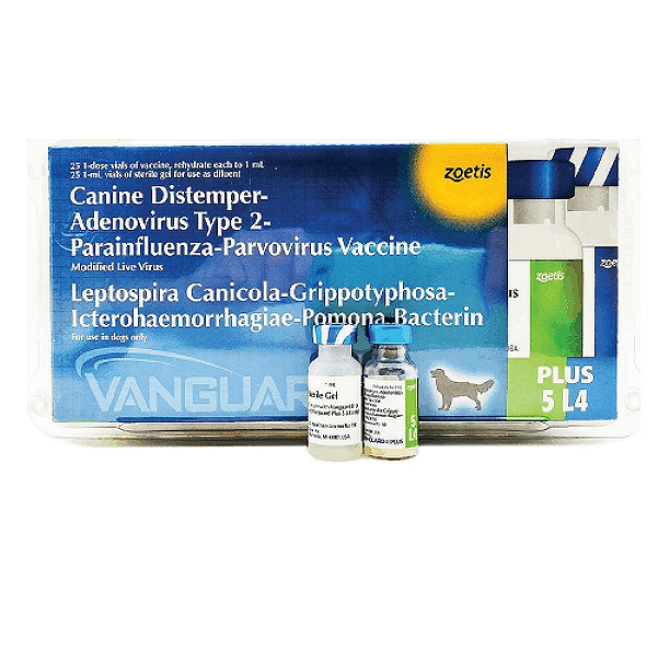 Zoetis VANGUARD PLUS 5 L4 CV Vaccine (10-in-1)