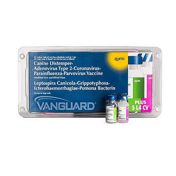 Zoetis VANGUARD PLUS 5 L4 Vaccine (9-in-1)