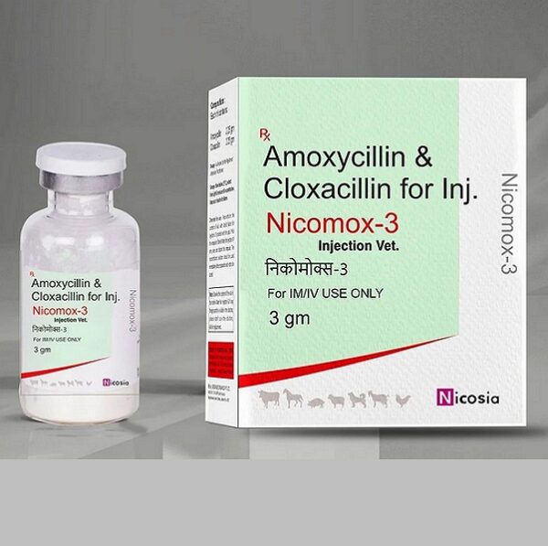 Amoxicillin & Cloxacillin Injection