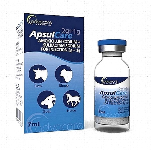 Amoxicillin & Sulbactam Injection