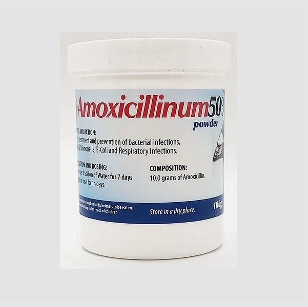 Amoxicillin Powder