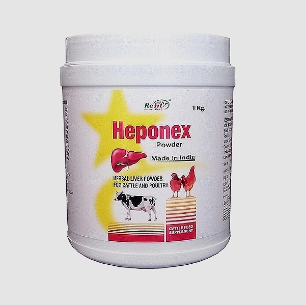 Ayurvedic Liver Powder