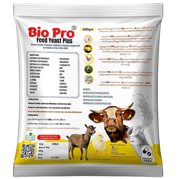 Bacterial & Yeast Probiotic Powder