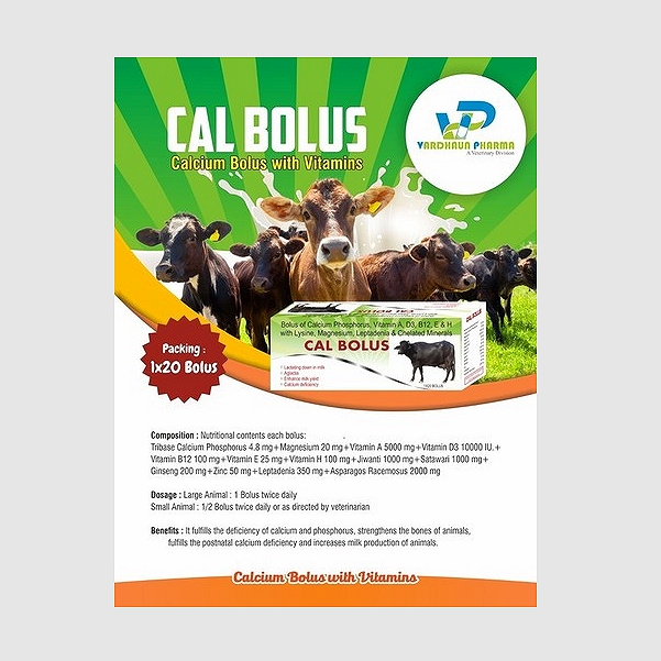 Calcium Bolus with Vitamins