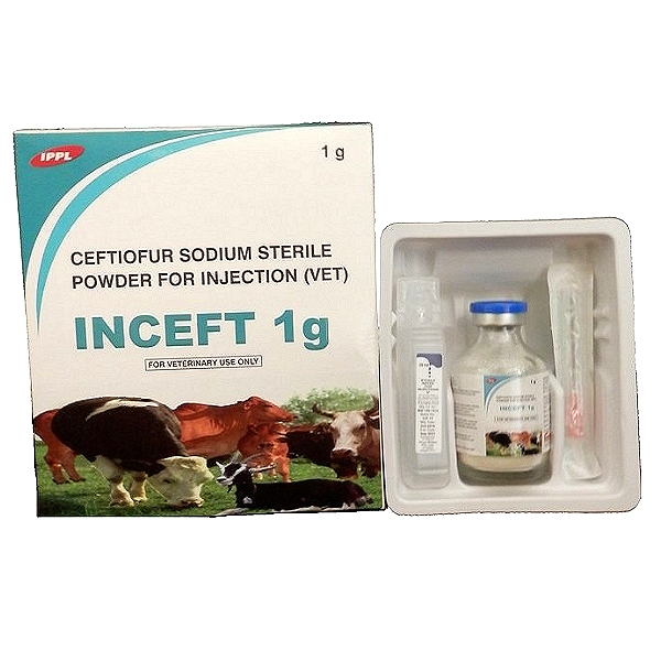 Ceftiofur Injection
