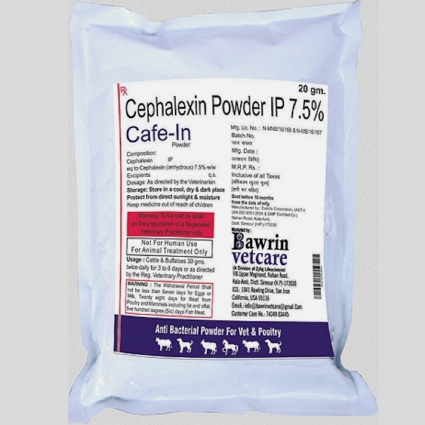 Cephalexin Powder