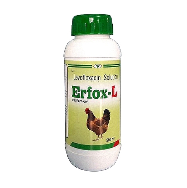 Levofloxacin Liquid
