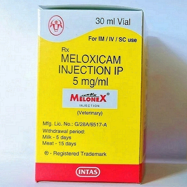 Meloxicam Injection