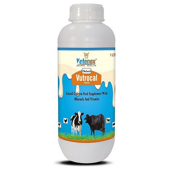Chelated Calcium with Iron & Vitamins