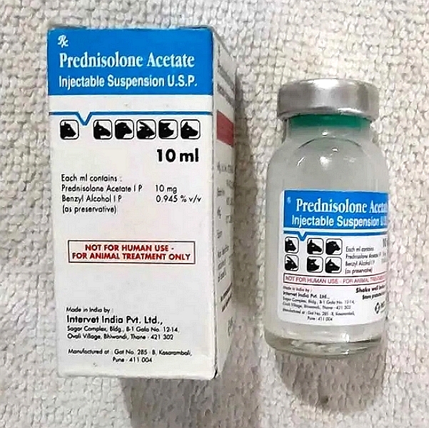 Prednisolone Injection