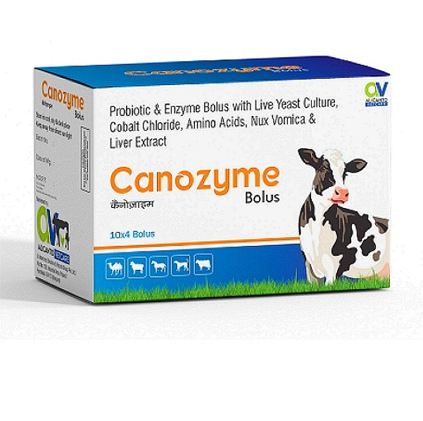 Pro-Biotic & Live Yeast Culture Bolus