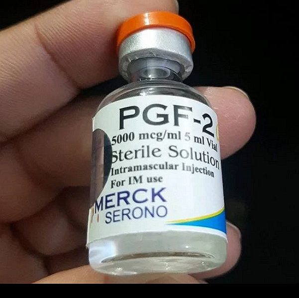 Prostaglandine F2a Analogue Injection