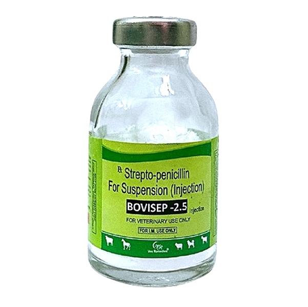 Strepto-Penicillin Injection