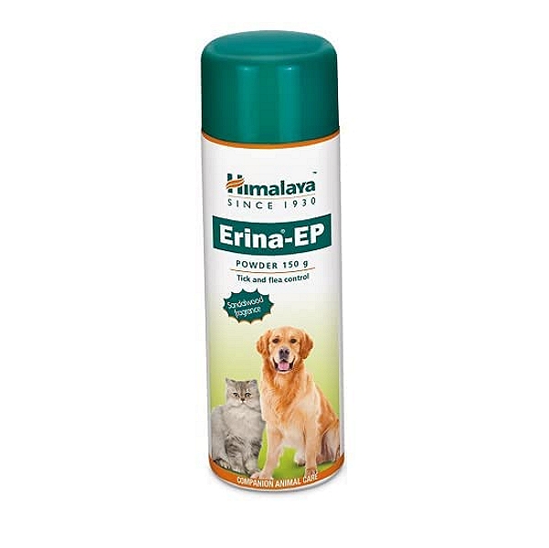 Antiseptic Powder