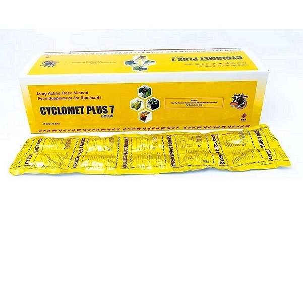 Trace Mineral Tablets