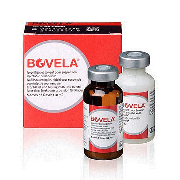 Bovela Vaccine
