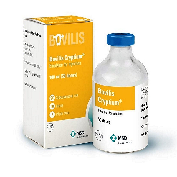 Bovilis Cryptium Injection