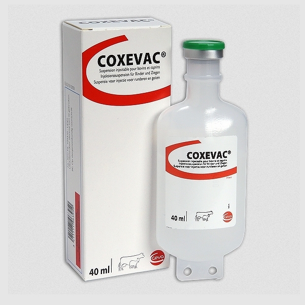 Coxevac Vaccine