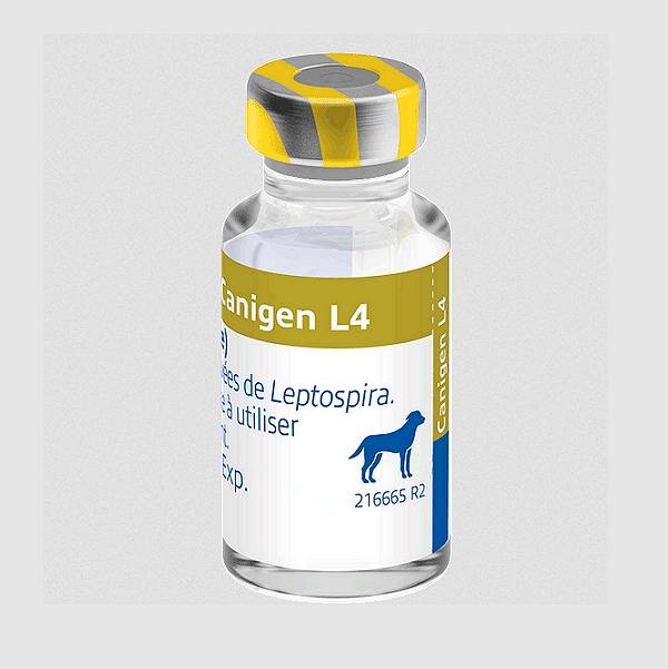 Canigen L4 Vaccine