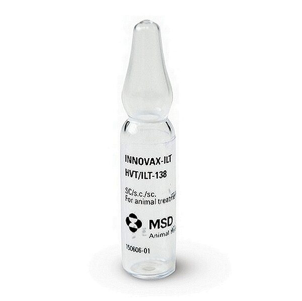 Innovax-ILT Vaccine