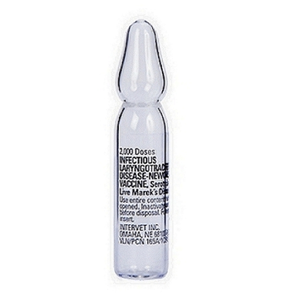 Innovax-ILT-IBD Vaccine