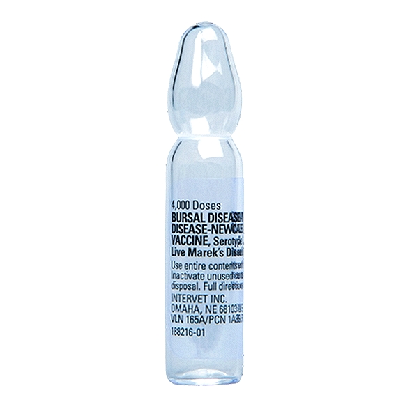 Innovax-ND-IBD Vaccine